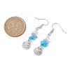 Natural & Synthetic Mixed Stone Dangle Earrings EJEW-JE06147-3