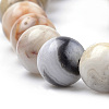 Natural Crazy Lace Agate Beads Strands G-S259-38-6mm-3