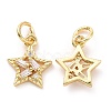 Brass Micro Pave Cubic Zirconia Charms ZIRC-A023-03LG-2