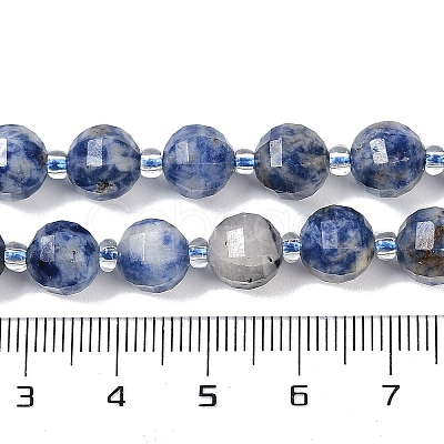 Natural Blue Spot Jasper Beads Strands G-G182-B31-03-1