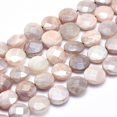 Electroplate Natural Sunstone Beads Strands G-K256-20B-1