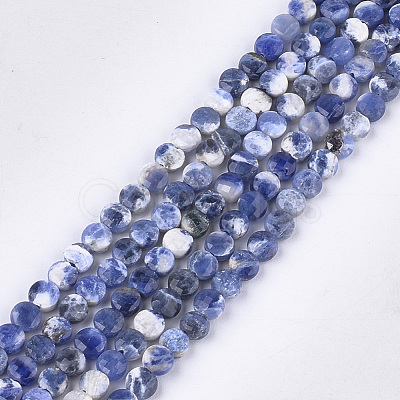 Natural Sodalite Beads Strands G-S354-34-1