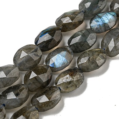 Natural Labradorite Beads Strands G-P544-D06-01-1