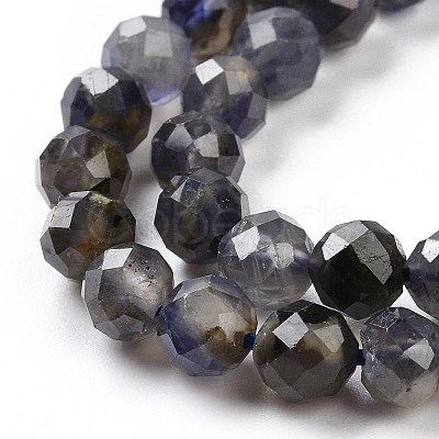 Natural Iolite Beads Strands G-P488-02B-1