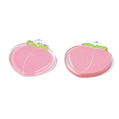 Translucent Acrylic Pendants TACR-N013-012-1