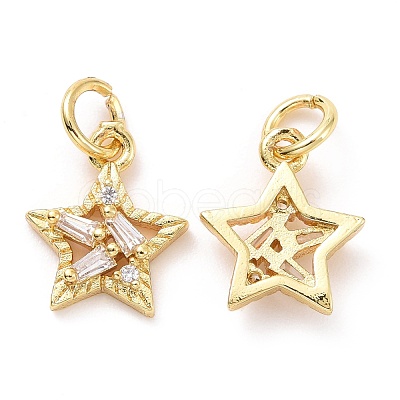 Brass Micro Pave Cubic Zirconia Charms ZIRC-A023-03LG-1