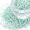 13/0 Glass Seed Beads SEED-T005-14A-A19-1