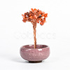 Natural Carnelian Chips Tree Display Decorations PW23051677266-1