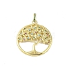 Brass Micro Pave Cubic Zirconia Pendants KK-E111-11G-1