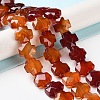 Natural Red Agate Beads Strands G-K357-C05-01-2