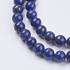 Natural Lapis Lazuli(Filled Color Glue) Beads Strands X-G-K269-02-8mm-3