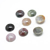 Natural Indian Agate Gemstone Cabochons X-G-T020-10mm-23-1