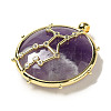 Constellation Natural Amethyst Pendants G-A300-E08-2