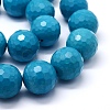 Synthetic Turquoise Beads Strands G-E437-01-1