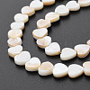 Natural Freshwater Shell Beads Strands X-SHEL-S276-70-6