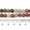 Natural Ocean Jasper Beads Strands G-C102-B01-01-5