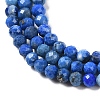 Natural Lapis Lazuli Beads Strands G-L587-A03-02-3