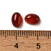 Natural Carnelian Cabochons G-F605E-17B-3