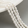 Natural Cultured Freshwater Pearl Beads Strands PEAR-P062-01H-2