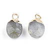 Electroplate Natural Labradorite Charms G-S344-09D-2