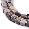 Natural Fossil Coral Beads Strands G-D0020-13A-3