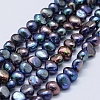 Natural Cultured Freshwater Pearl Beads Strands PEAR-K004-13A-1