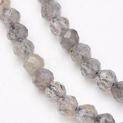 Natural Labradorite Bead Strands G-P213-38-2mm-1