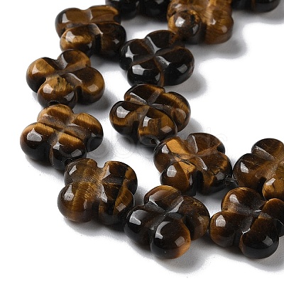 Natural Tiger Eye Beads Strands G-M418-D04-01-1