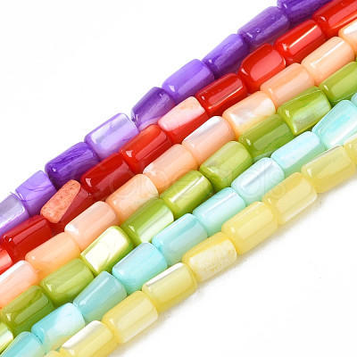 Natural Freshwater Shell Beads Strands SHEL-N003-26-1