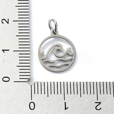 Non-Tarnish 304 Stainless Steel Charms STAS-C097-63P-1