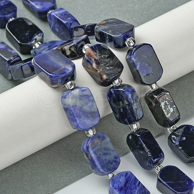 Natural Sodalite Beads Strands G-C098-A08-01-1