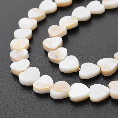 Natural Freshwater Shell Beads Strands X-SHEL-S276-70-1