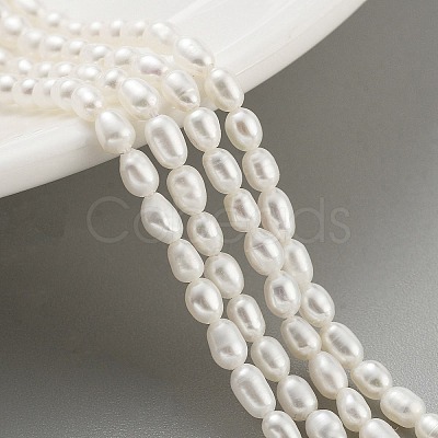 Natural Cultured Freshwater Pearl Beads Strands PEAR-P062-01H-1