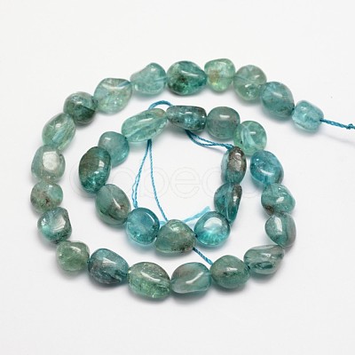 Natural Apatite Bead Strands X-G-L459-13-1