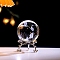 Inner Carving Glass Crystal Ball Diaplay Decoration, Fengshui Home Decor, Clear, Dolphin, 60mm