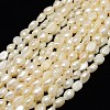 Natural Cultured Freshwater Pearl Beads Strands PEAR-L001-18-1