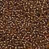 TOHO Round Seed Beads X-SEED-TR11-0278-2