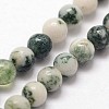 Natural Tree Agate Beads Strands X-G-N0192-01-2mm-3