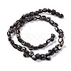 Natural Freshwater Shell Beads Strands BSHE-S304-06-2