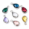 K9 Glass Charms GLAA-N038-26-4