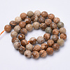 Natural Picture Jasper Beads Strands G-S281-01-6mm-2