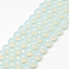 Baking Painted Glass Beads Strands X-DGLA-Q023-10mm-DB1-1