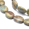Natural Aqua Terra Jasper Beads Strands X-G-I213-04-13x18-3