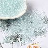 Transparent Colours Glass Seed Beads SEED-P007-02A-09-1