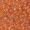 6/0 Round Glass Seed Beads SEED-US0003-4mm-169-2