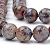 Natural Pietersite Beads Strands G-R446-12mm-13-3