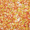 Baking Paint Glass Seed Beads X-SEED-S042-05B-44-3