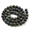 Natural Chrysocolla Beads Strands G-A219-A04-03-2
