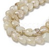 Natural Rainbow Moonstone Beads Strands G-P544-E06-01-4