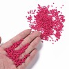 Baking Paint Glass Seed Beads SEED-US0003-2mm-K5-4